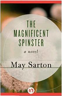 Cover for The Magnificent Spinster