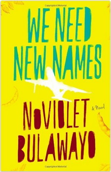 Cover for We Need New Names