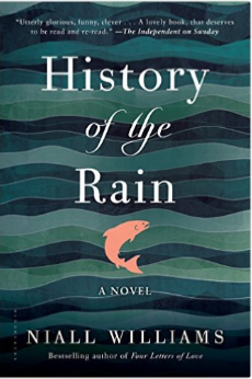 Cover for History of the Rain