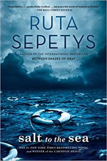 Cover for Salt to the Sea