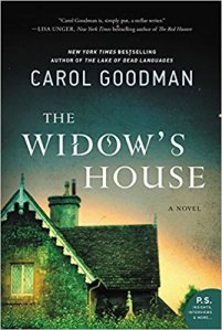 Cover for The Widow's House