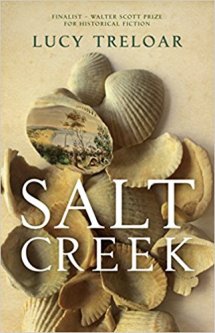 Cover for Salt Creek