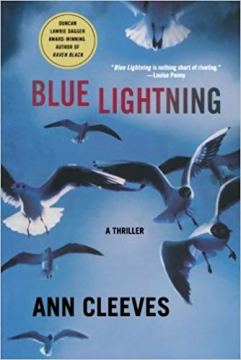 Cover for Blue Lightning